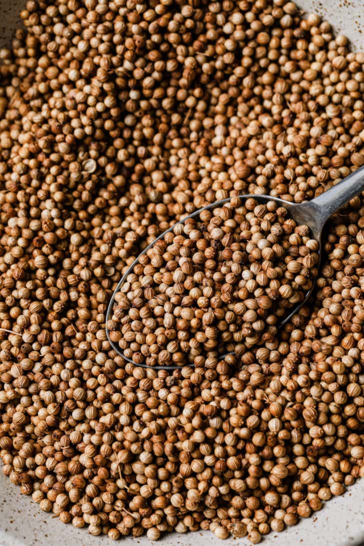 Coriander seeds on a plate with a spoon.