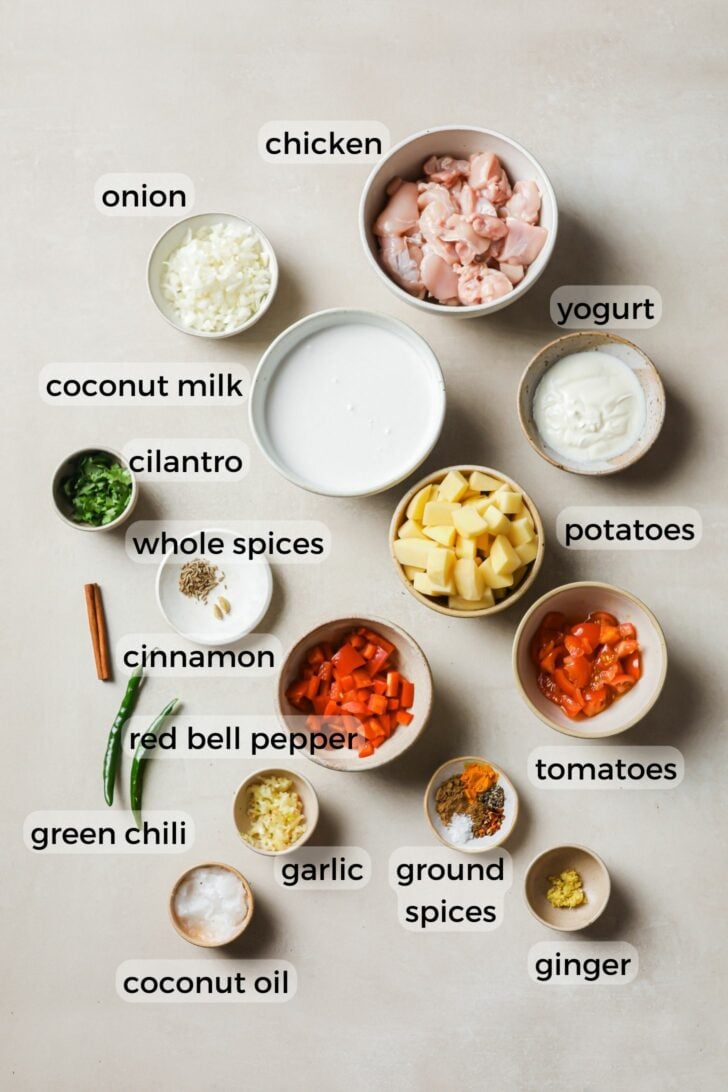 Ingredients in Chicken Curry with Coconut Milk